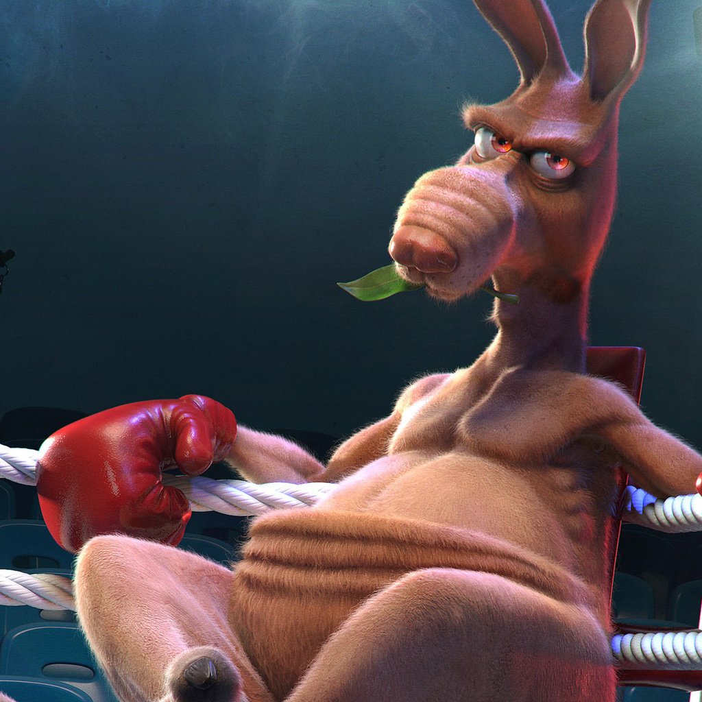 Обои кенгуру, бокс, ринг, kangaroo, boxing, the ring разрешение 1920x1200 Загрузить