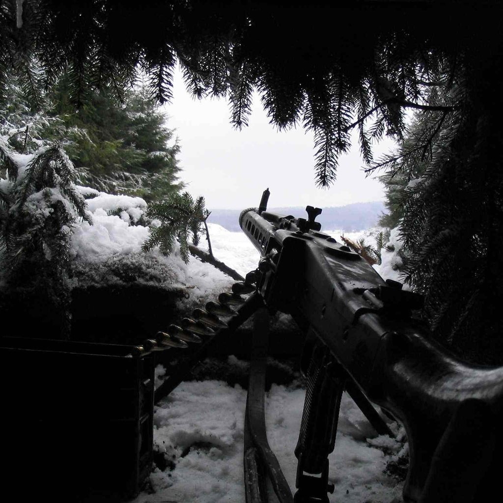 Обои снег, хвоя, оружие, засада, mg-42, snow, needles, weapons, ambush разрешение 2048x1536 Загрузить