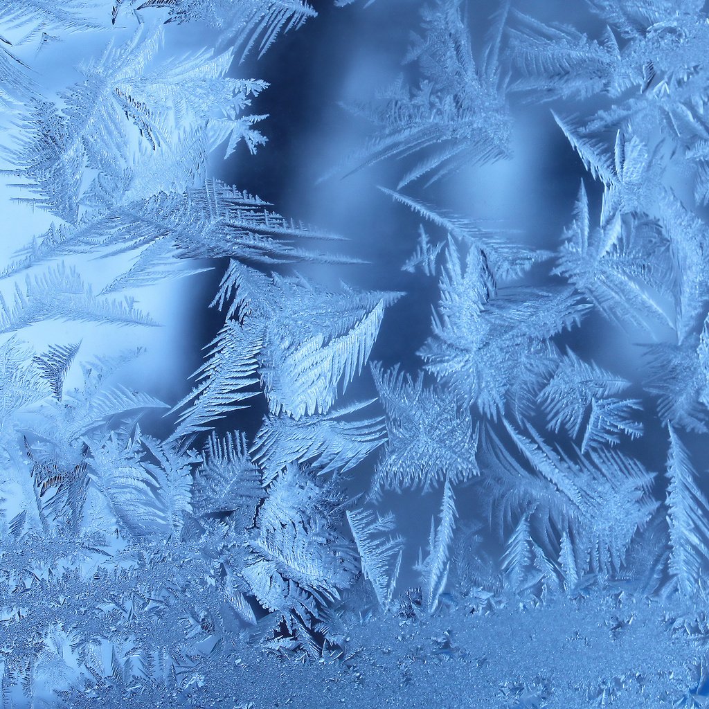 Обои зима, иней, окно, морозно, замерзла, winter, frost, window, frosty, frozen разрешение 2560x1600 Загрузить