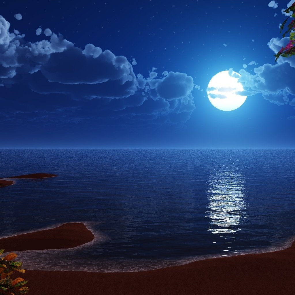 Ночное море