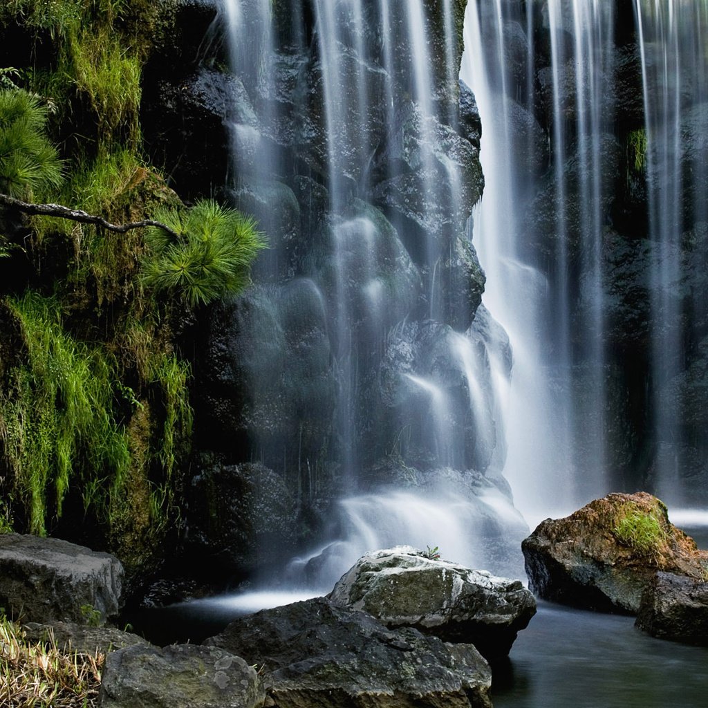 Обои камни, хвоя, водопад, поток, stones, needles, waterfall, stream разрешение 1920x1200 Загрузить