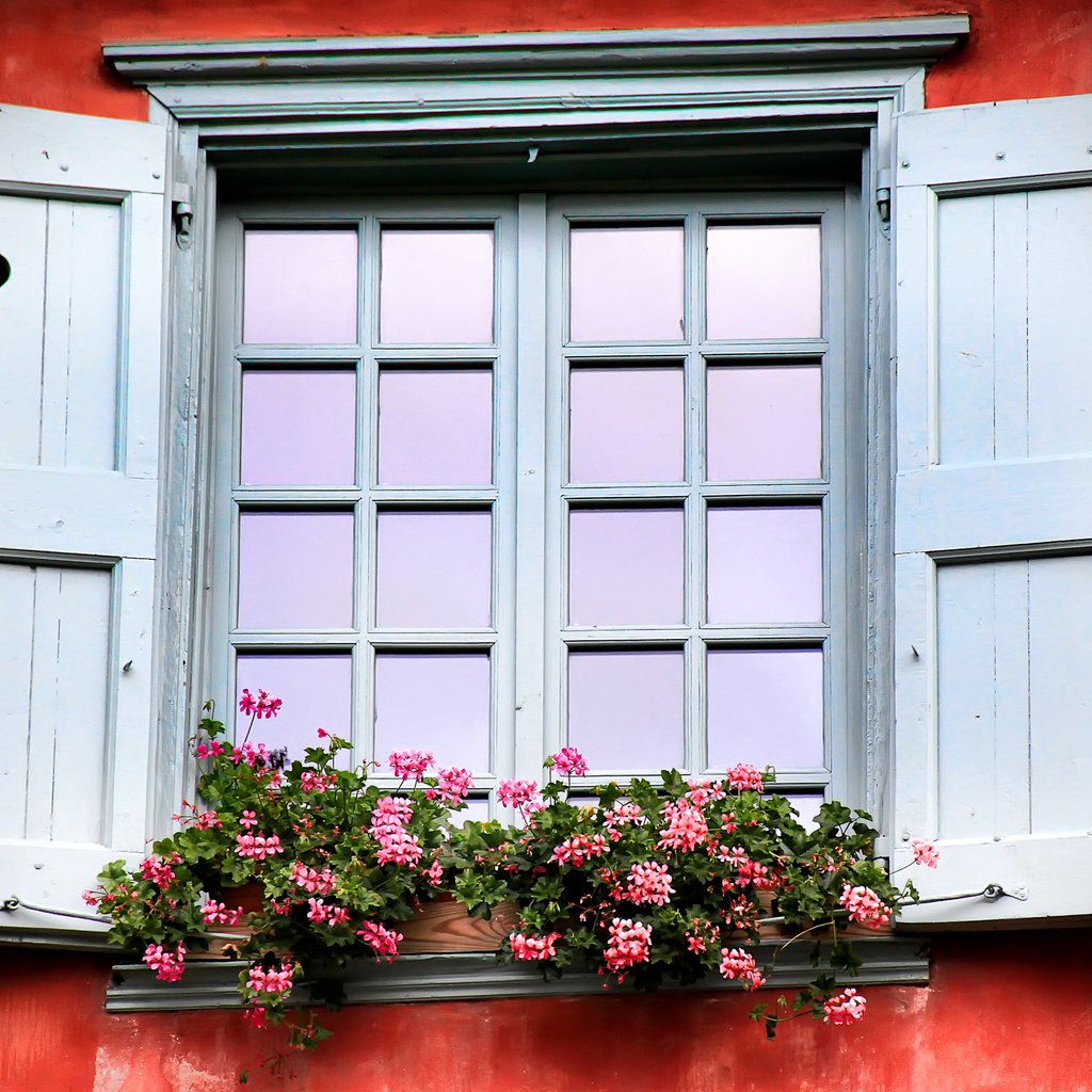 Обои окно, франция, ставни, window, france, shutters разрешение 2560x1600 Загрузить