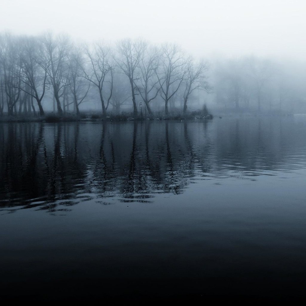 Обои река, берег, лес, утро, туман, чёрно-белое, прохлада, river, shore, forest, morning, fog, black and white, cool разрешение 1920x1200 Загрузить