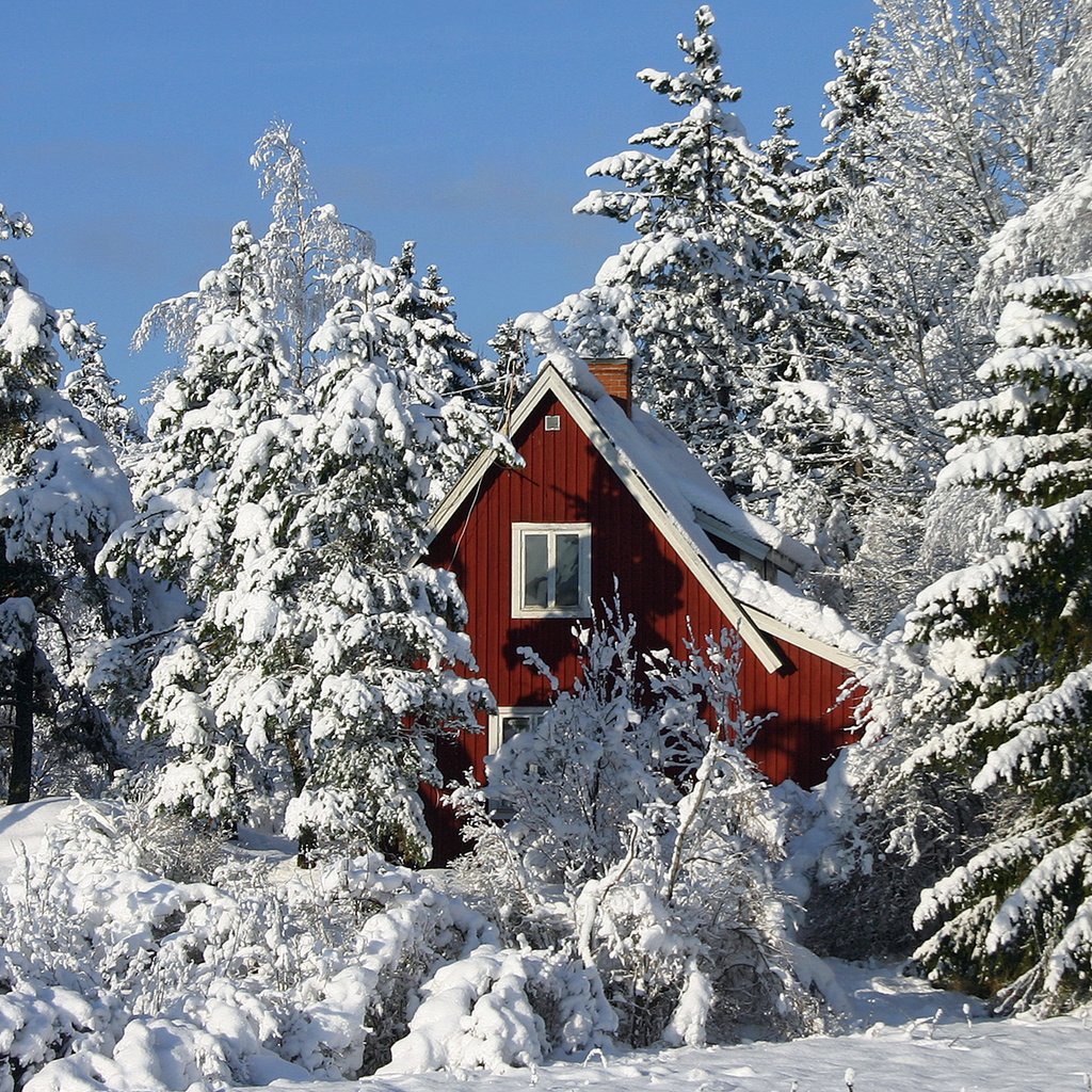Обои деревья, зима, дом, trees, winter, house разрешение 1920x1200 Загрузить