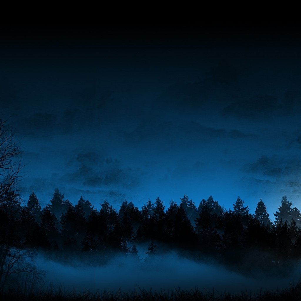 Обои ночь, лес, туман, night, forest, fog разрешение 1920x1200 Загрузить