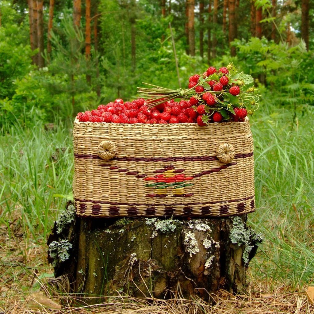 Корзинка с лесными ягодами