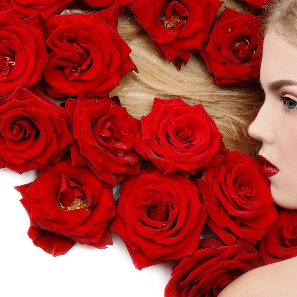 Обои цветы, девушка, блондинка, роза, красный, flowers, girl, blonde, rose, red разрешение 2560x1600 Загрузить