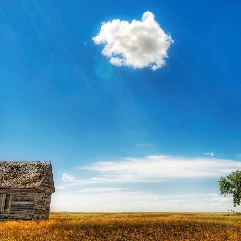 Обои облака, дерево, поле, дом, clouds, tree, field, house разрешение 2560x1600 Загрузить