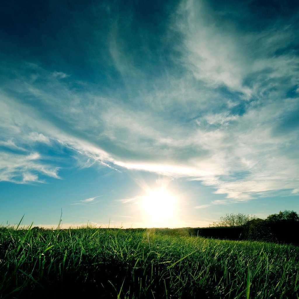 Обои небо, трава, облака, закат, синий, зеленая, the sky, grass, clouds, sunset, blue, green разрешение 2560x1600 Загрузить