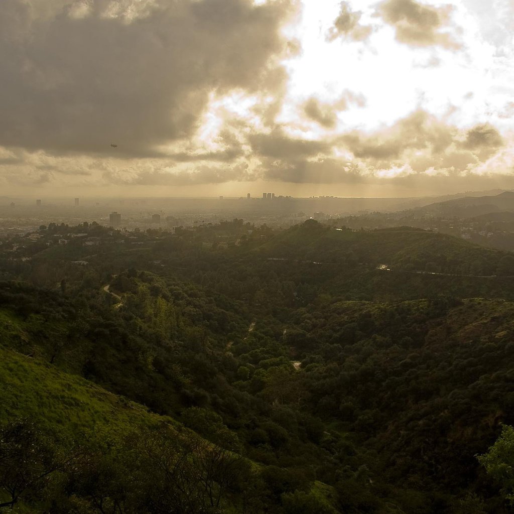 Обои облака, зелень, griffith park, лос анджелес, clouds, greens, los angeles разрешение 1920x1200 Загрузить