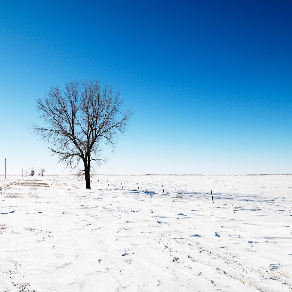Обои небо, дорога, снег, дерево, зима, the sky, road, snow, tree, winter разрешение 2560x1600 Загрузить