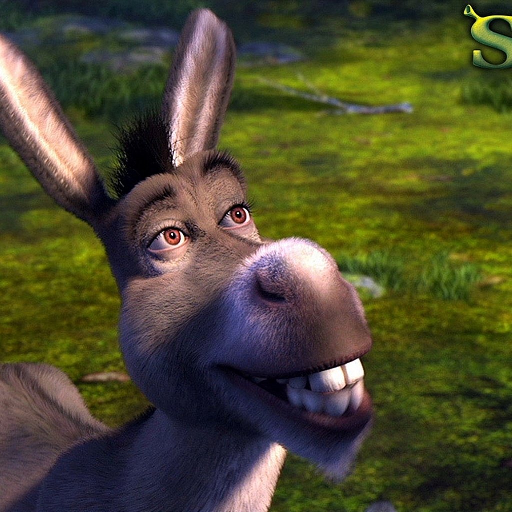 Скачать обои осел, шрек, donkey, shrek разрешение 1024x1024 #5919