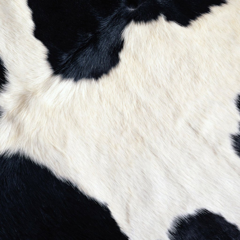 Обои черный, белый, пятна, корова, black, white, spot, cow разрешение 1920x1200 Загрузить