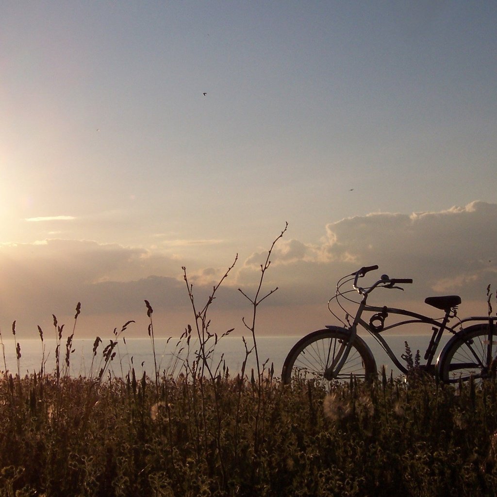 Обои трава, солнце, природа, пейзаж, велосипед, grass, the sun, nature, landscape, bike разрешение 1920x1200 Загрузить