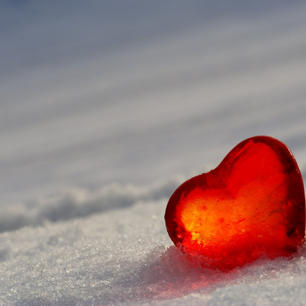 Обои снег, лёд, сердце, snow, ice, heart разрешение 2560x1600 Загрузить