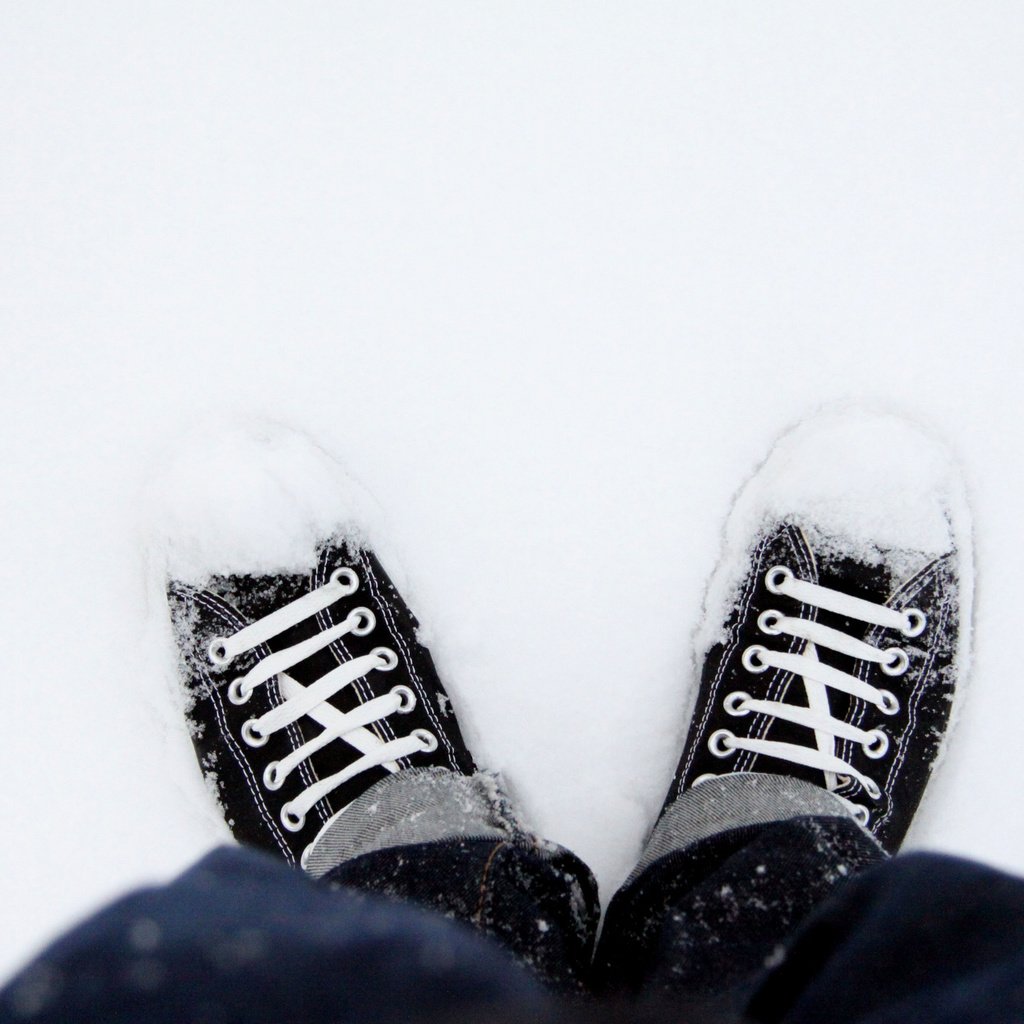 Обои снег, кеды, обувь, snow, sneakers, shoes разрешение 2560x1707 Загрузить