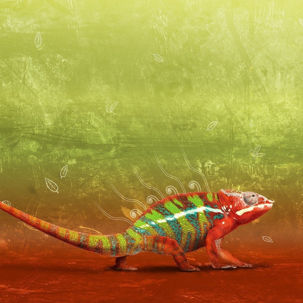 Обои дизайн, градиент, хамелеон, design, gradient, chameleon разрешение 1920x1200 Загрузить