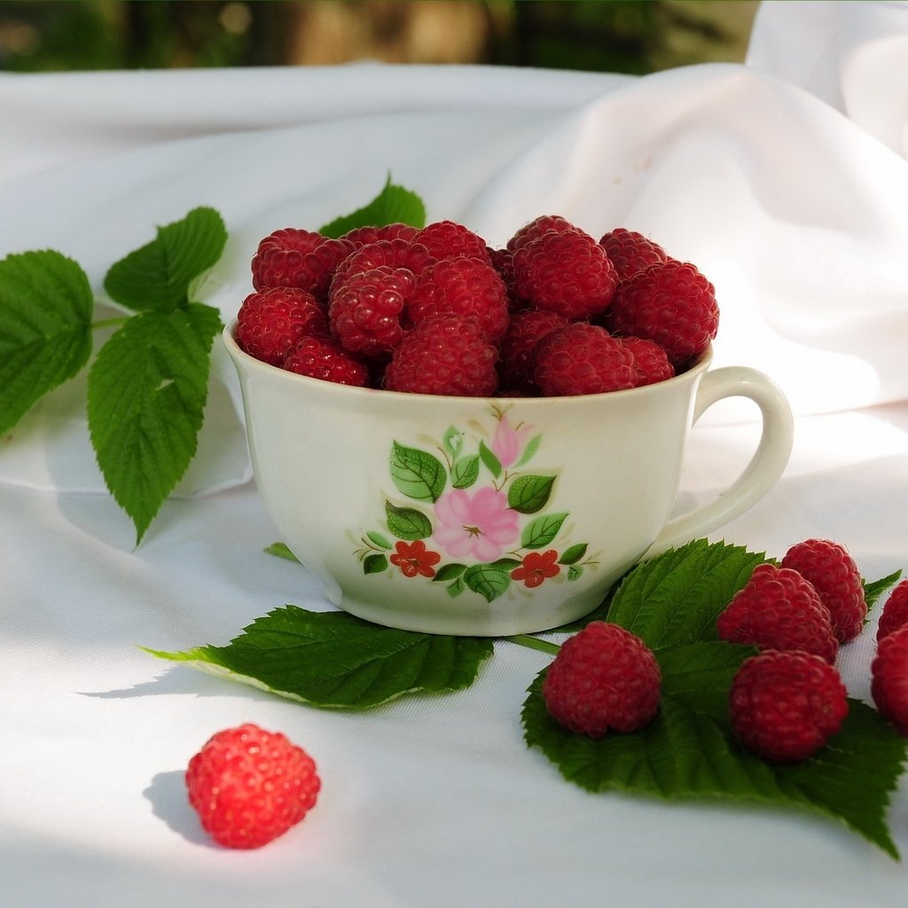 Обои малина, кружка, листики, raspberry, mug, leaves разрешение 2048x1536 Загрузить