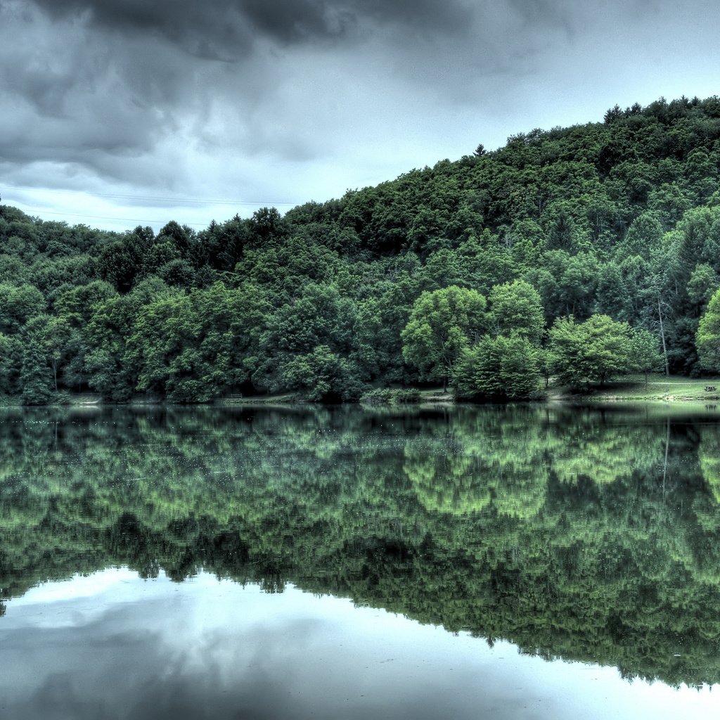 Обои вода, лес, отражение, water, forest, reflection разрешение 2560x1600 Загрузить