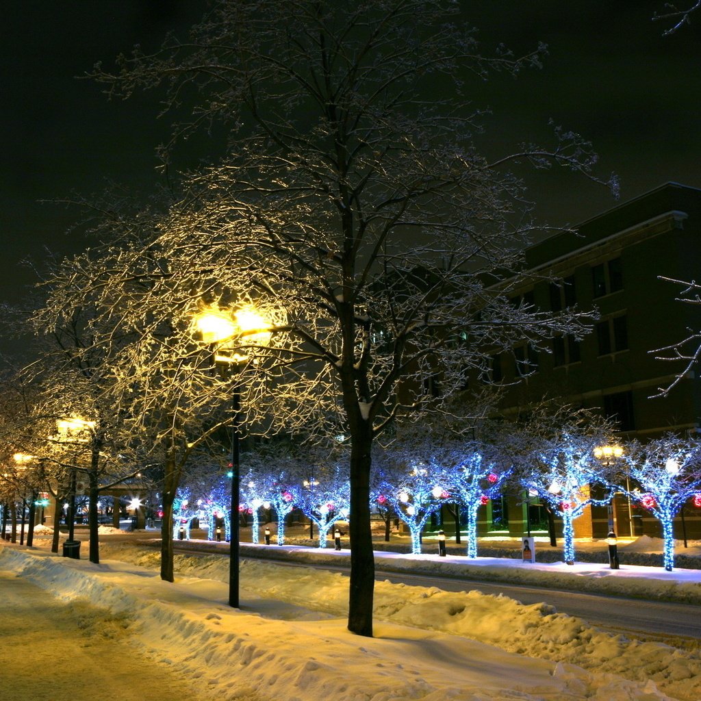 Обои деревья, фонари, огни, снег, зима, город, trees, lights, snow, winter, the city разрешение 1920x1200 Загрузить