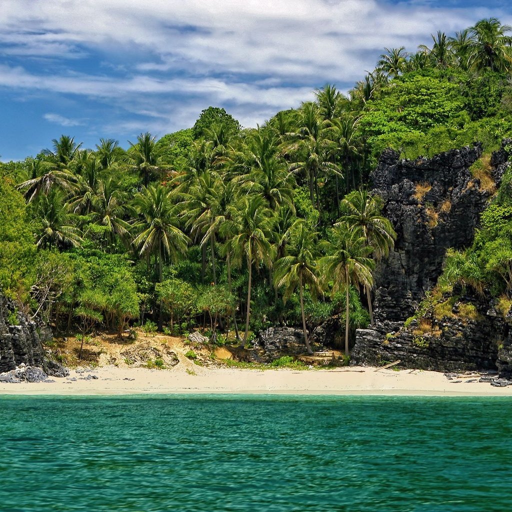 Обои пляж, пальмы, в укромном месте, beach, palm trees, in a secluded place разрешение 1920x1200 Загрузить