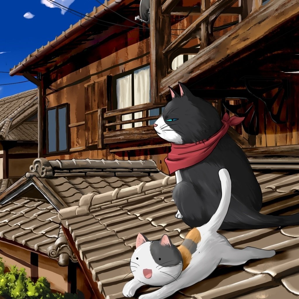 Обои коты, крыша, nyan koi, cats, roof разрешение 1920x1080 Загрузить