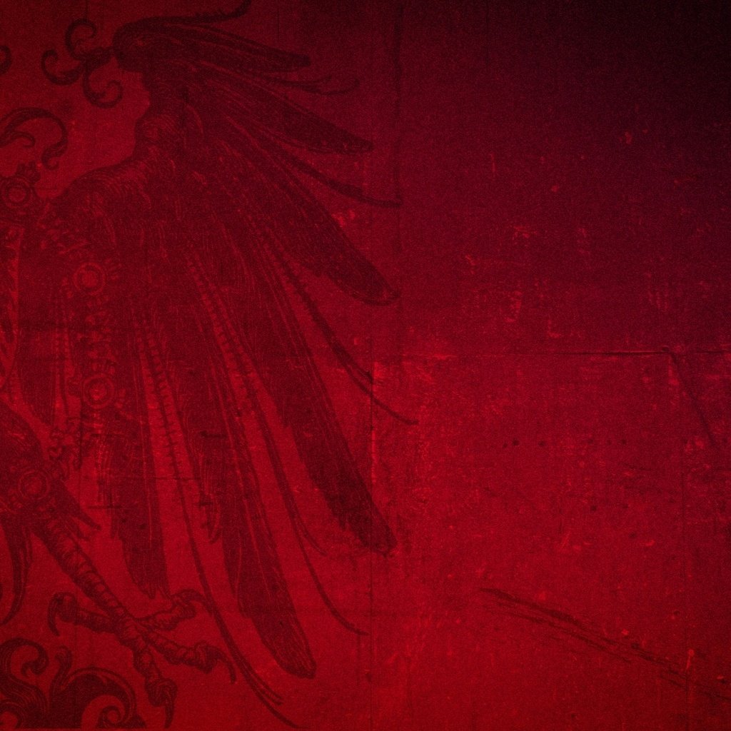 Обои красный, орел, разное, red, eagle, different разрешение 1920x1200 Загрузить