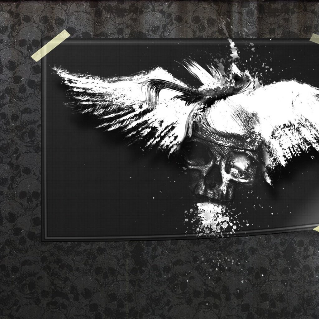 Обои мрак, фото, череп, the darkness, photo, skull разрешение 1920x1200 Загрузить