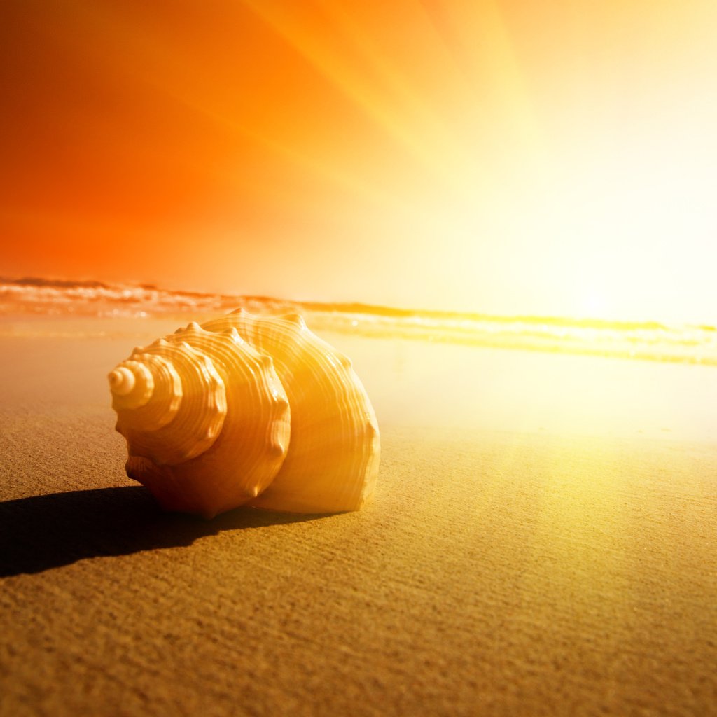 Обои закат, море, песок, sunset, sea, sand разрешение 3872x2592 Загрузить