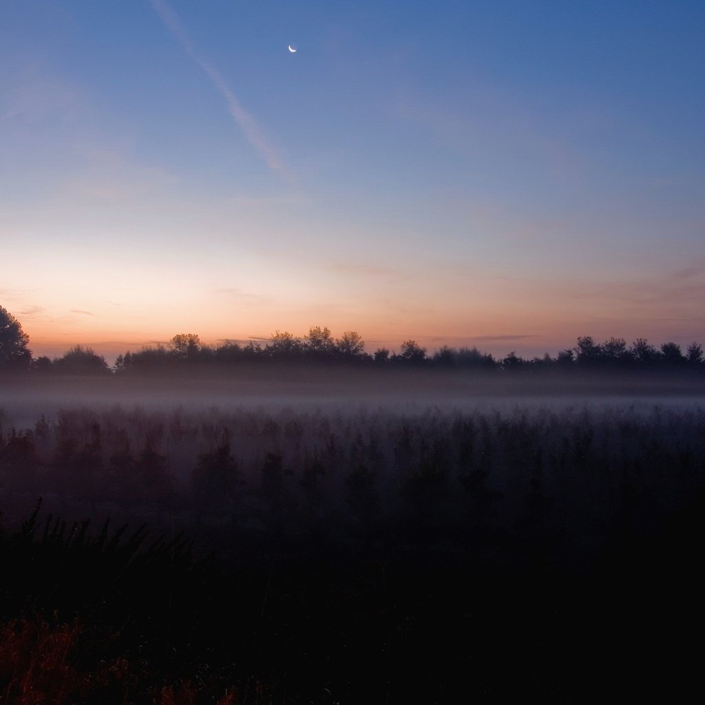 Обои туман, поле, луна, fog, field, the moon разрешение 1920x1440 Загрузить