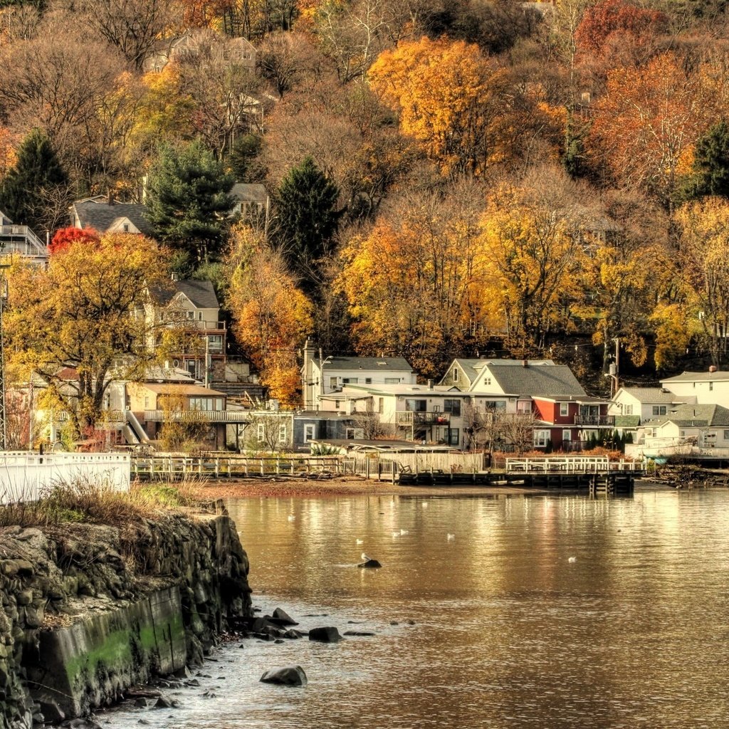 Обои вода, осень, поселок, water, autumn, the village разрешение 2560x1600 Загрузить