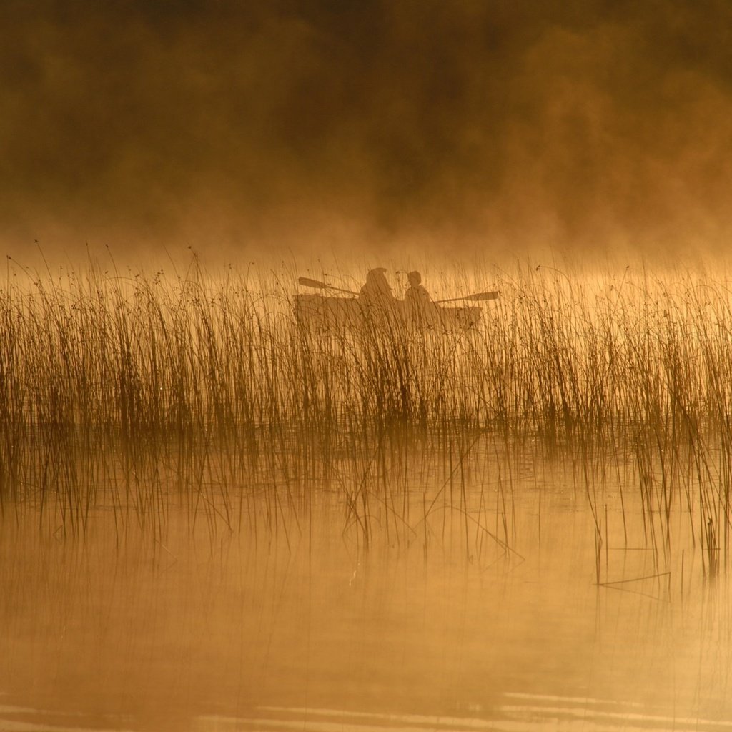 Обои река, людей, природа, рек, обои, пейзаж, туман, люди, лодка, lakes, камыш, reed, river, nature, rivers, wallpaper, landscape, fog, people, boat разрешение 1920x1200 Загрузить