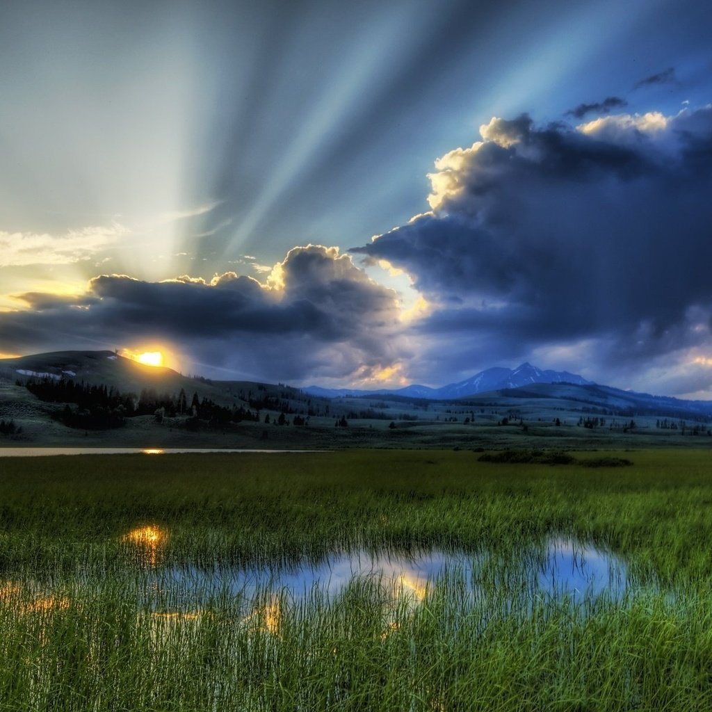 Обои свет, трава, солнце, природа, обои, лучи солнца, пейзажи, light, grass, the sun, nature, wallpaper, the rays of the sun, landscapes разрешение 1920x1200 Загрузить