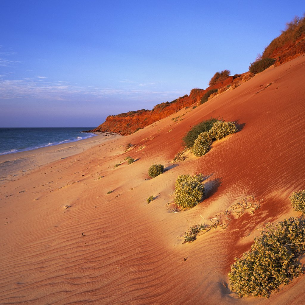 Обои песок, склон, океан, sand, slope, the ocean разрешение 1920x1200 Загрузить