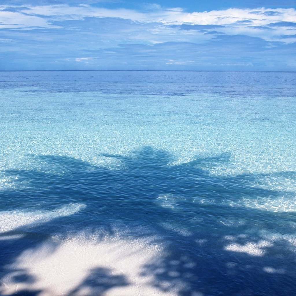 Обои вода, синий, горизонт, тень, пальма, water, blue, horizon, shadow, palma разрешение 1920x1200 Загрузить