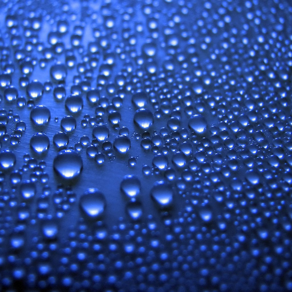 Обои макро, капли, красота, синий цвет, macro, drops, beauty, blue color разрешение 1920x1200 Загрузить