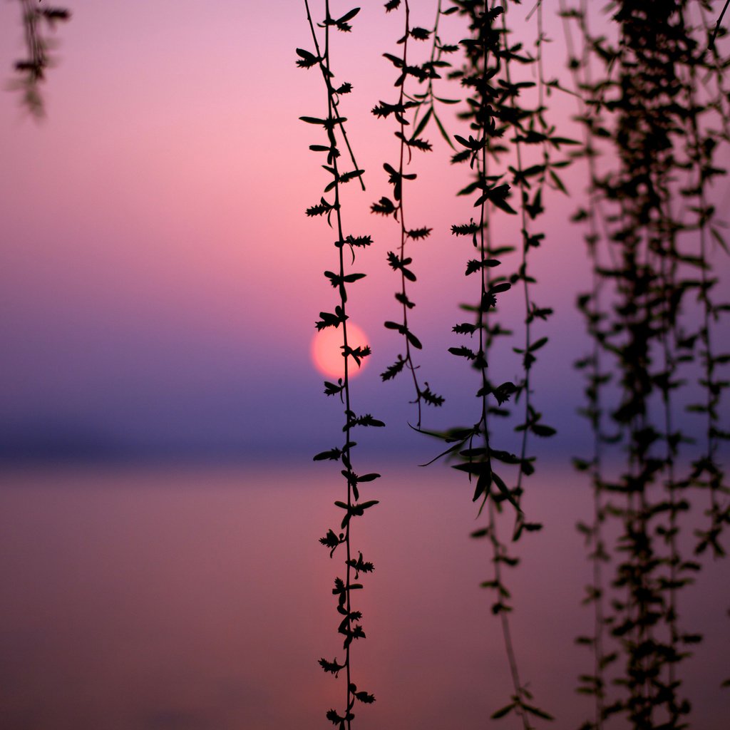 Обои озеро, закат, китай, lake, sunset, china разрешение 2560x1600 Загрузить