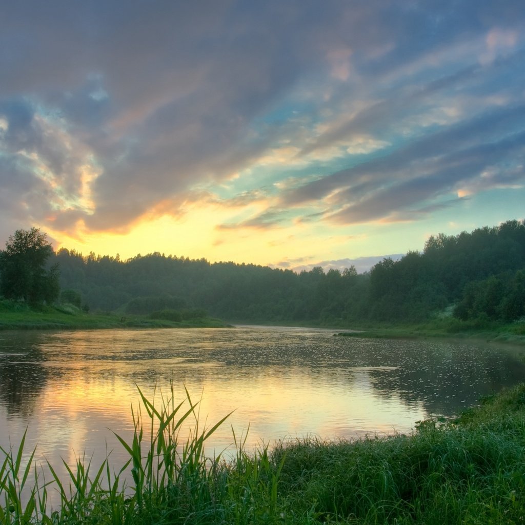 Обои трава, озеро, лес, отражение, grass, lake, forest, reflection разрешение 1920x1080 Загрузить