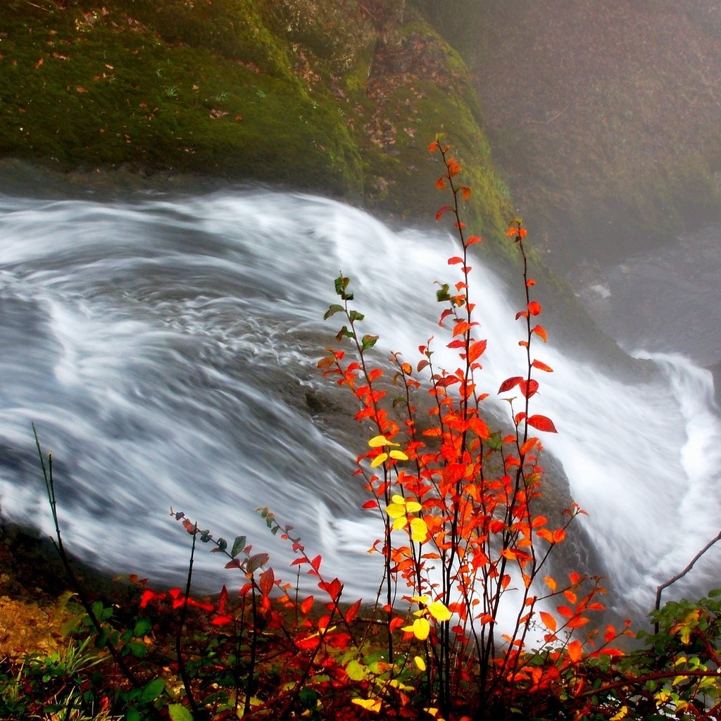 Обои река, листья, водопад, осень, river, leaves, waterfall, autumn разрешение 1920x1440 Загрузить
