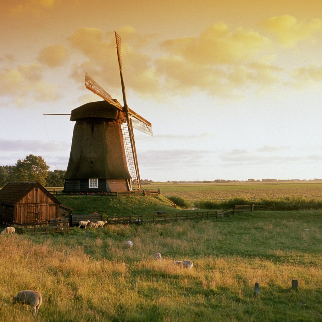 Обои небо, трава, природа, мельница, the sky, grass, nature, mill разрешение 1920x1200 Загрузить