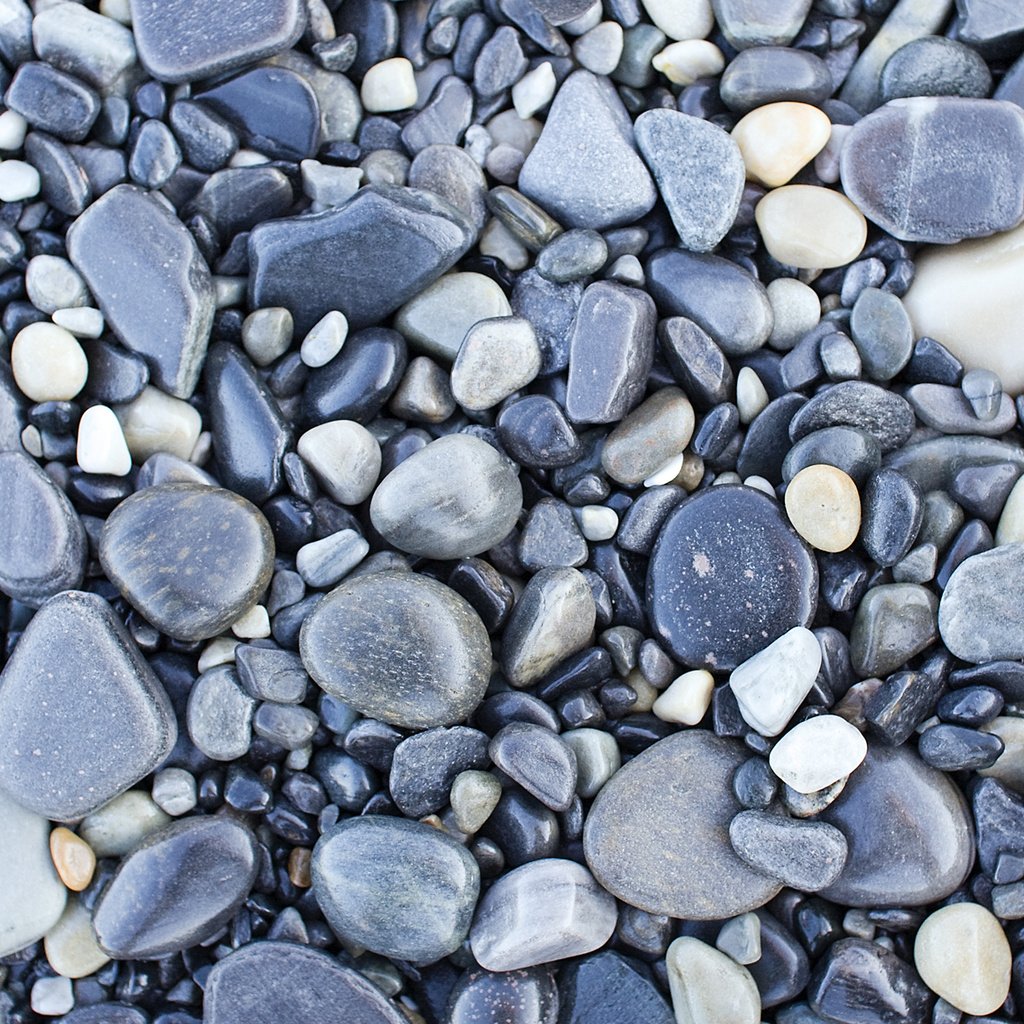 Обои камни, галька, текстура, фон, серая, stones, pebbles, texture, background, grey разрешение 1920x1200 Загрузить