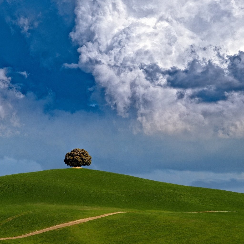 Обои облака, дерево, холм, clouds, tree, hill разрешение 2200x1650 Загрузить