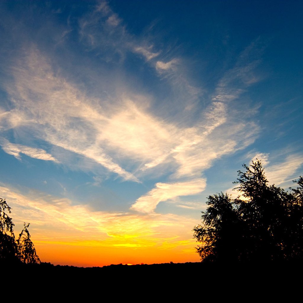 Обои облака, деревья, закат, clouds, trees, sunset разрешение 1920x1200 Загрузить