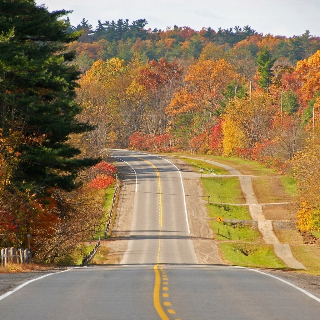 Обои дорога, деревья, осень, road, trees, autumn разрешение 1920x1200 Загрузить