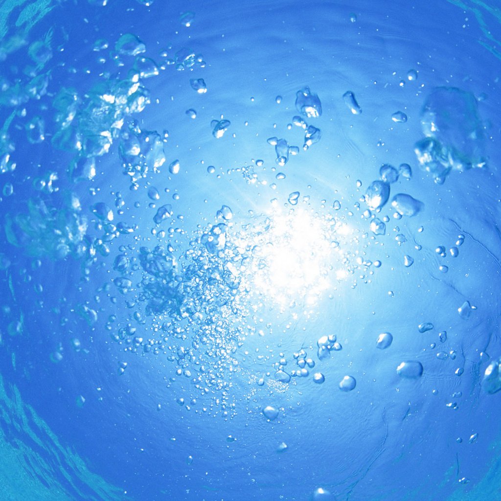 Обои вода, океан, подводный мир, пузыри с кислородом, валлпапер, water, the ocean, underwater world, bubbles of oxygen, wallpaper разрешение 1920x1200 Загрузить