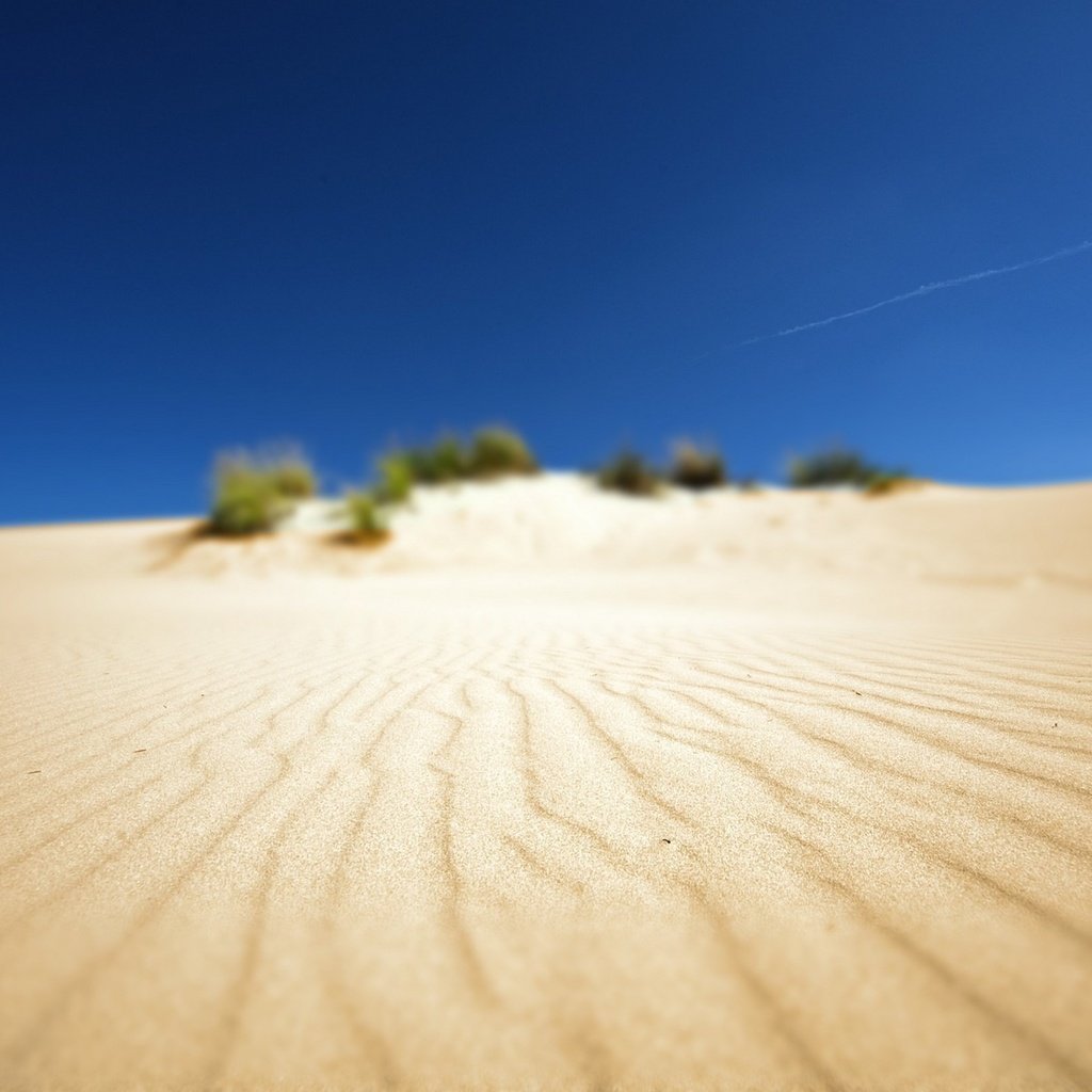 Обои фото, песок, пляж, пустыня, пейзажи, африка, photo, sand, beach, desert, landscapes, africa разрешение 1920x1200 Загрузить