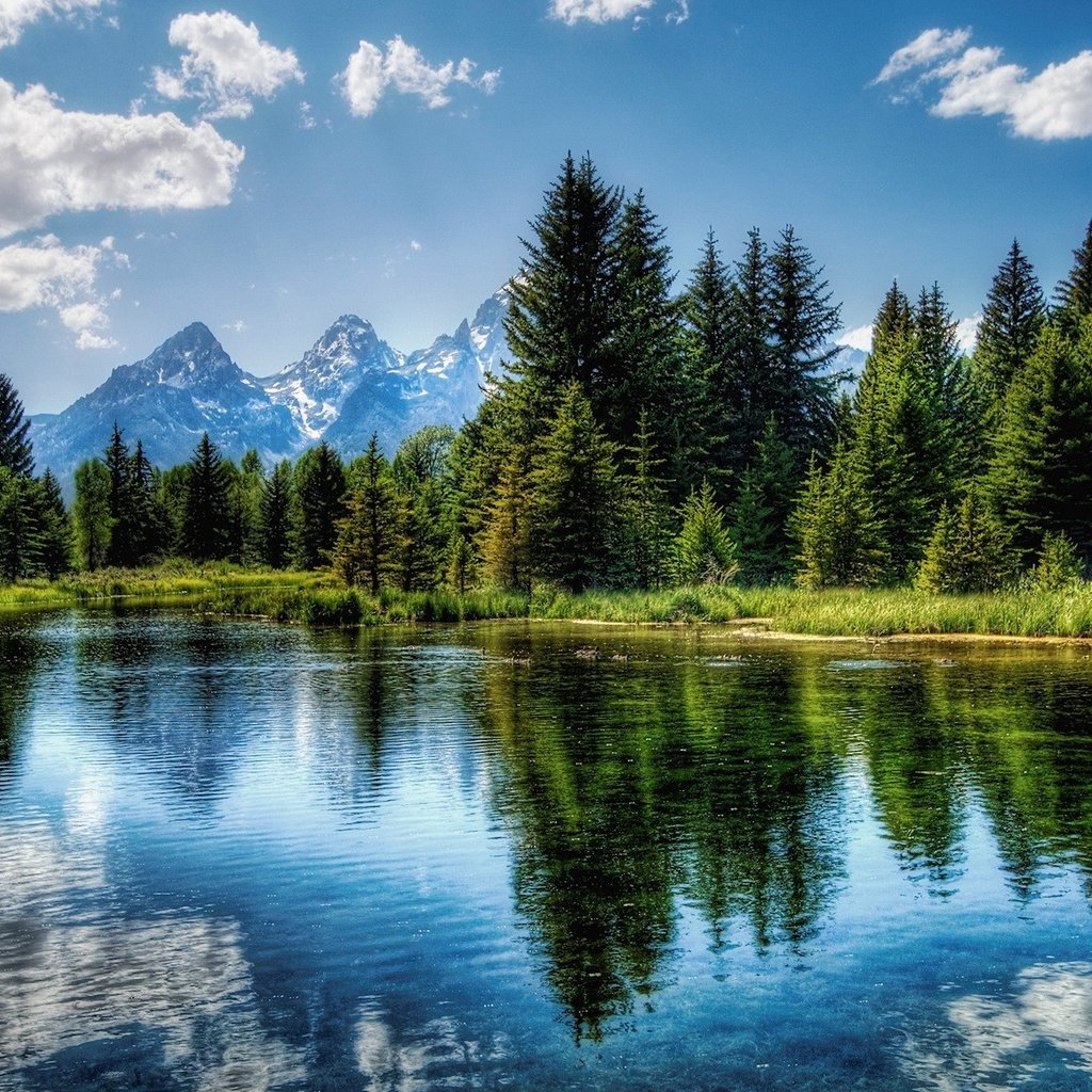 Обои небо, облака, деревья, озеро, зелёный, отражение, синий, the sky, clouds, trees, lake, green, reflection, blue разрешение 1920x1200 Загрузить