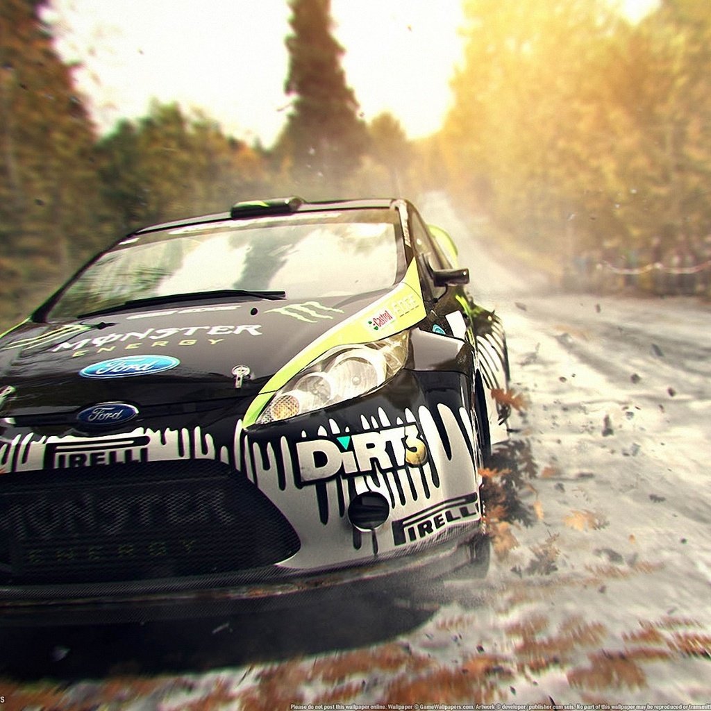 Обои грязь, dirt 3, ралли, форд, dirt, rally, ford разрешение 1920x1200 Загрузить