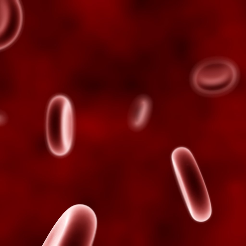 Обои кровь, красный, кровяные тельца, blood, red, blood cells разрешение 4800x1200 Загрузить