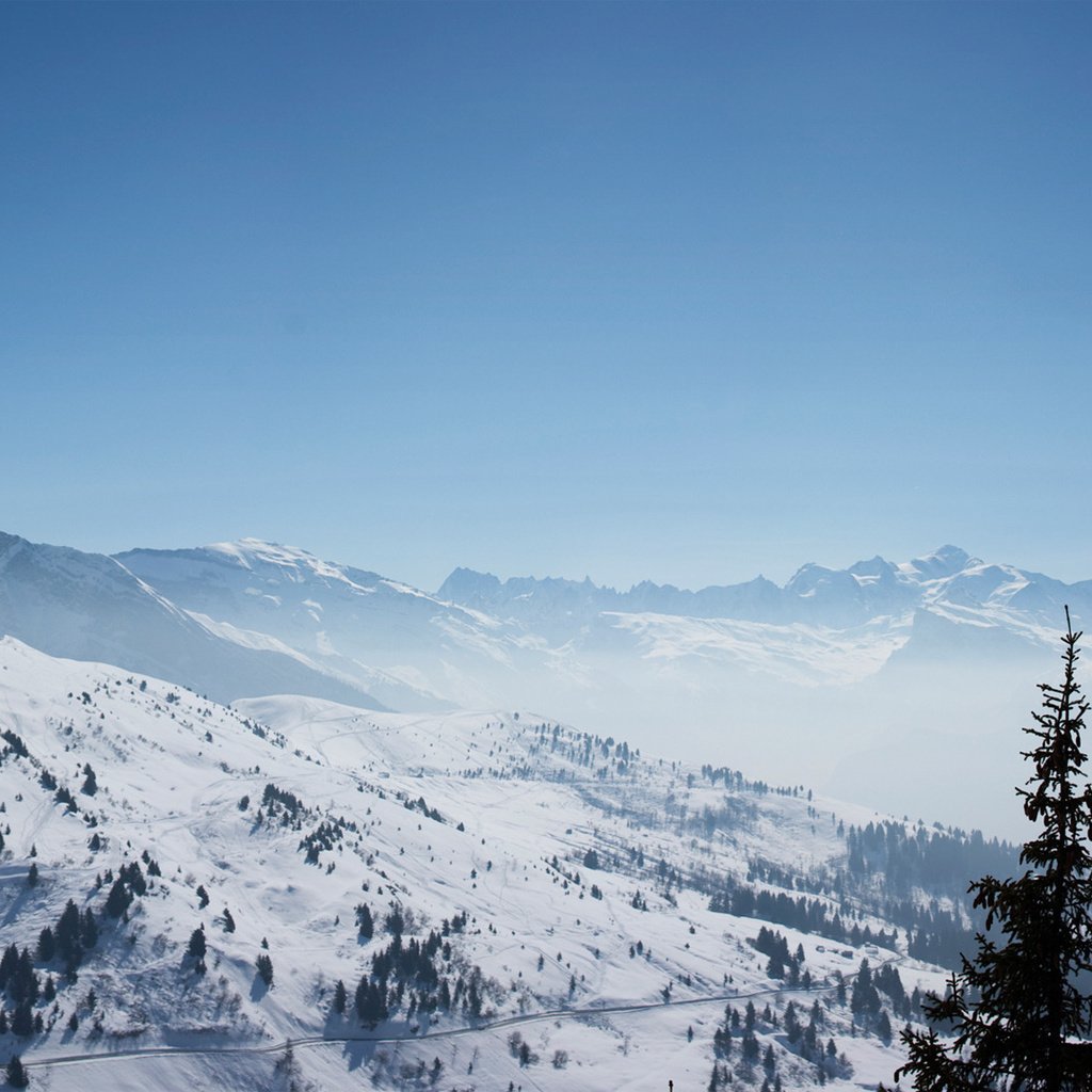 Обои горы, снег, лес, montblanc, mountains, snow, forest разрешение 1920x1080 Загрузить